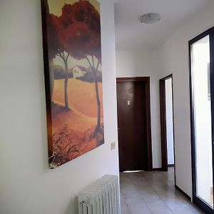 Camera singola
